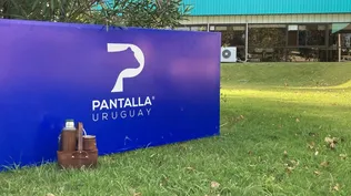 Pantalla Uruguay rematará vacunos y lanares este martes 15 de noviembre.