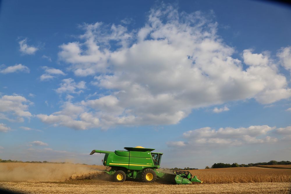 Agricultura: labores de cosecha de granos.