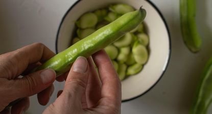 Frutas y verduras: ingresos y egresos en la Lista Inteligente y la presencia de habas es una de las novedades.