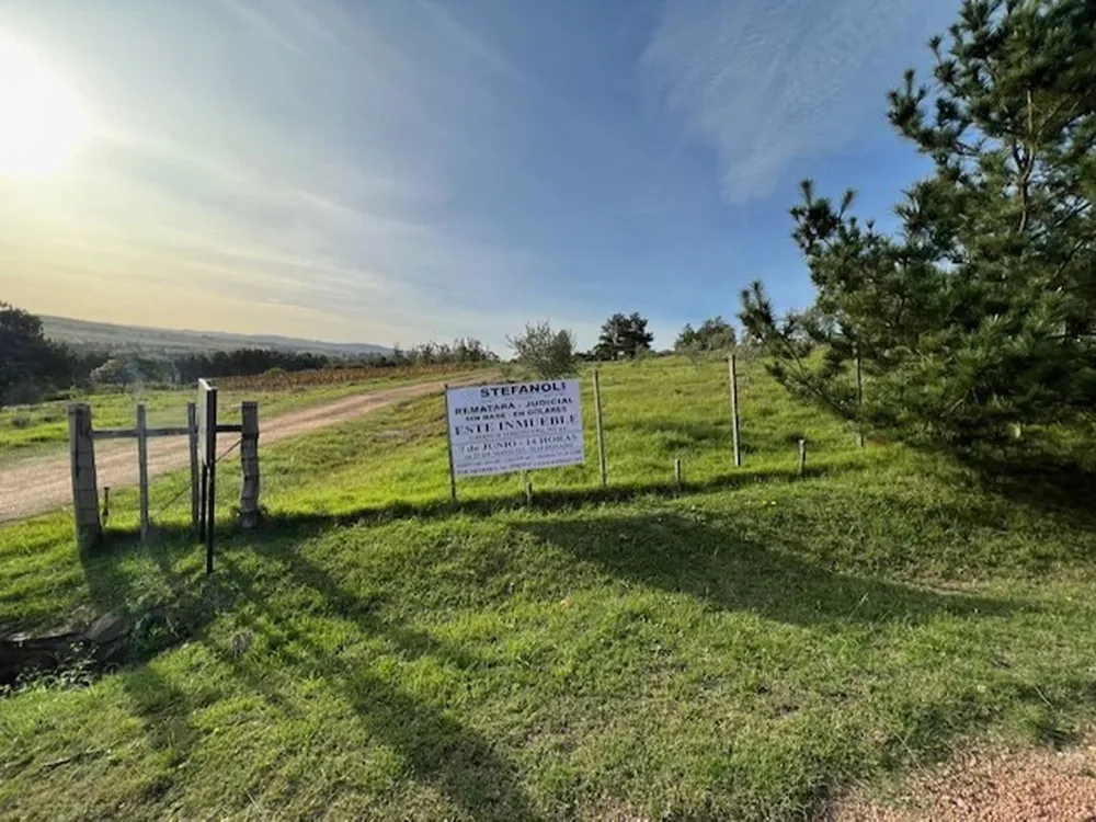 Stefanoli remata dos fracciones de campo con viñedo en Maldonado.