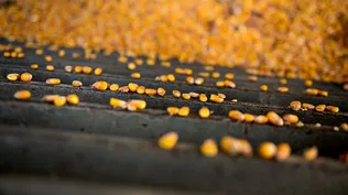 Mercado de granos al ritmo de la medida de Milei.