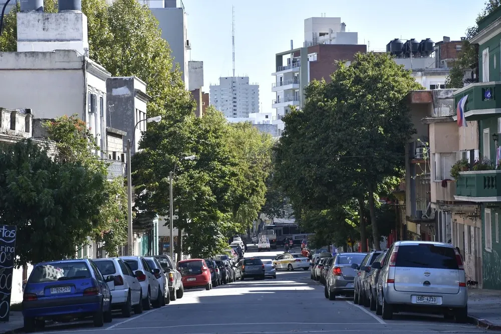 Todos apuntan a alquilar apartamentos en edificios con amenities