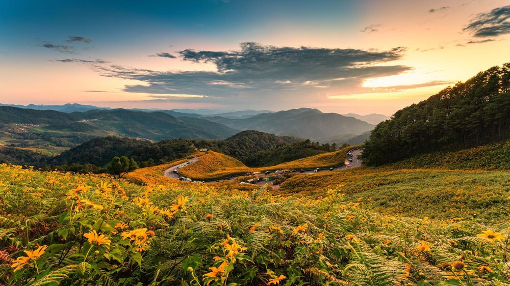 No hay nada como el aroma de nuestro propio planeta, dice Sharman.
