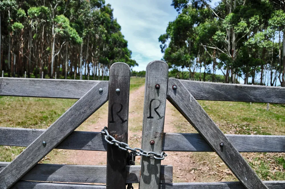 Un año difícil para los productores.