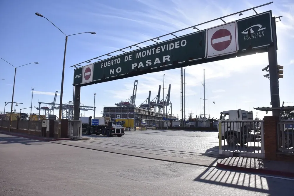 Incautaron 500 kilos en el puerto de Montevideo
