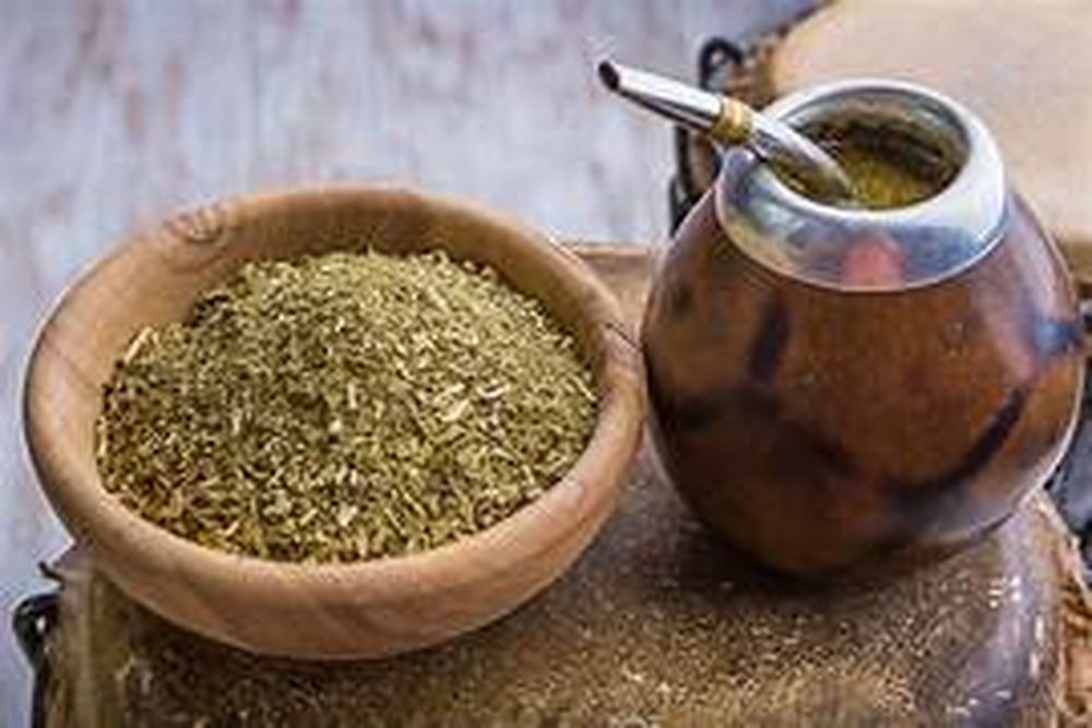 yerba mate