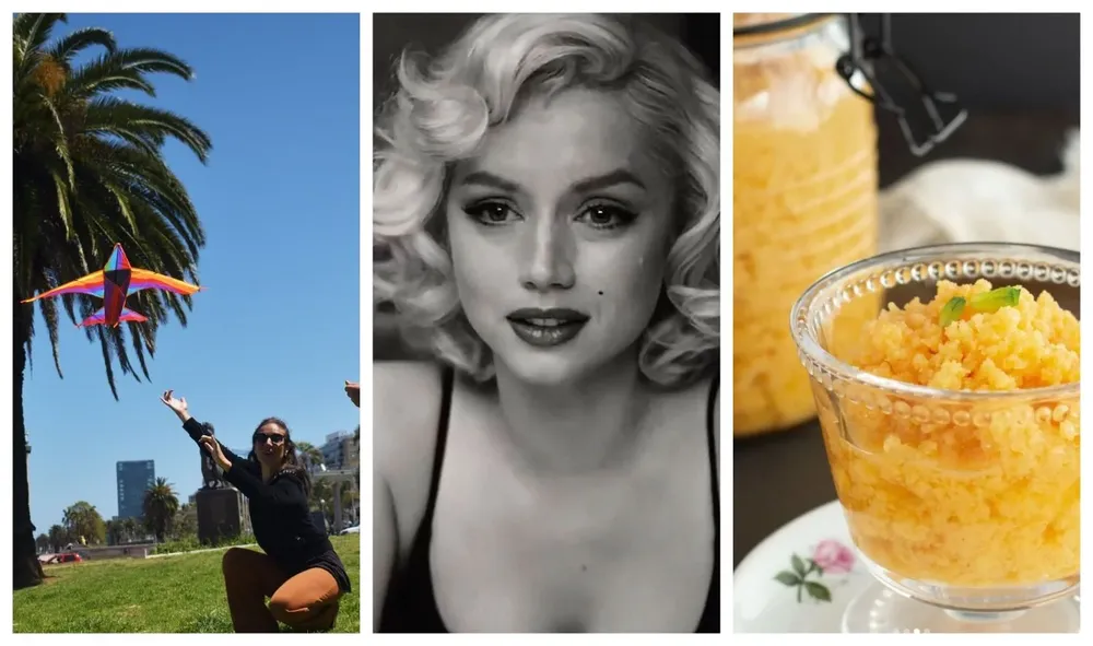 Cine, gastronomía y más, en el picnic de hoy