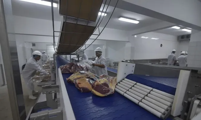 Escenario de máxima del INAC proyecta mejora de ingresos por casi US$ 100 millones por año.