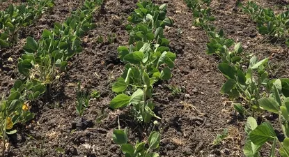 El Observador | 1640907250139.webp