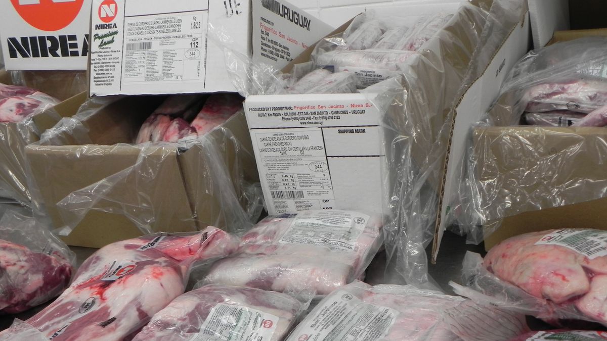 Nuevo récord en el precio que Uruguay logra por la carne ovina exportada