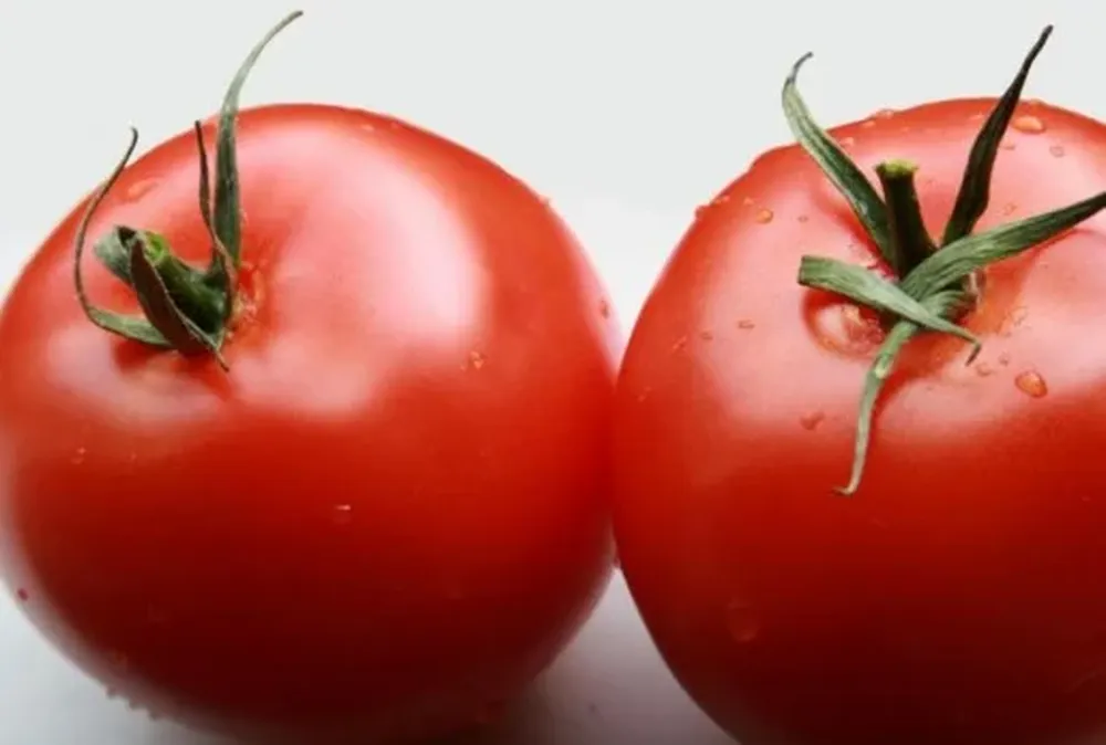 Los tomates constituyen un alimento de fuerte gusto Umami