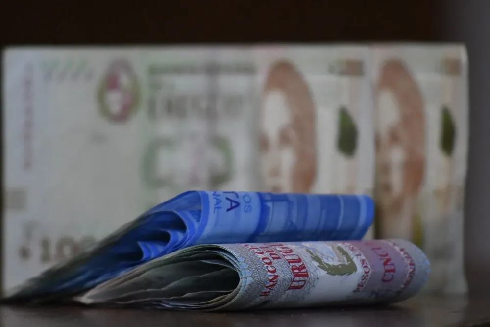 Los economistas, cuando hacen de gurúes, pueden pasar vergüenza