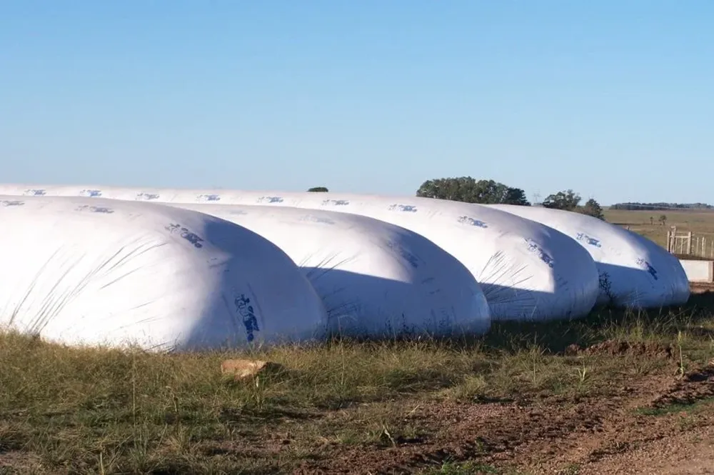 La cosecha de verano en riesgo por conflicto con camioneros