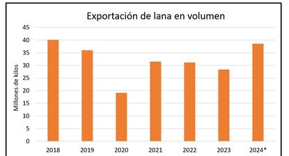 Lanas: exportaciones crecientes relevó un nuevo análisis del SUL.