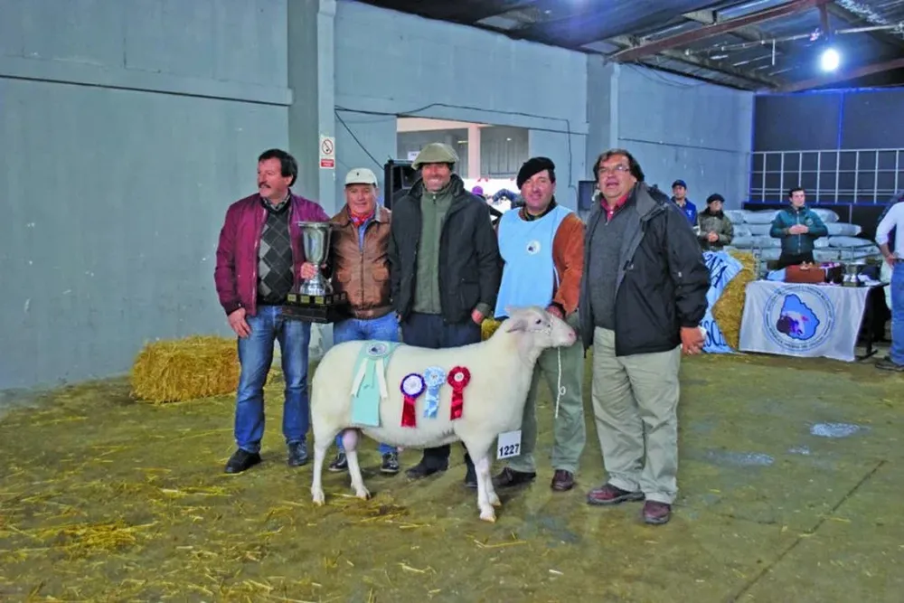 El Gran Campeón Frisona Milchaschf lo expuso El Olmo de Héctor Martínez