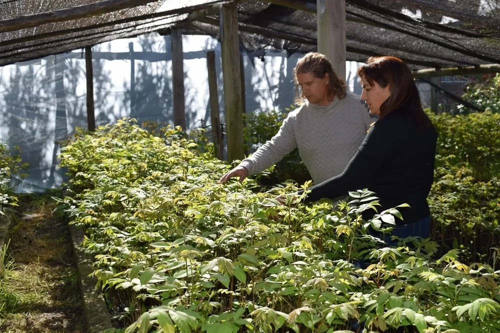 Luis López y Ana Laura Sastre.