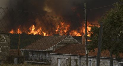 Galicia sufre su peor temporada de incendios del siglo: más de 110.000 hectáreas arrasadas por el fuego