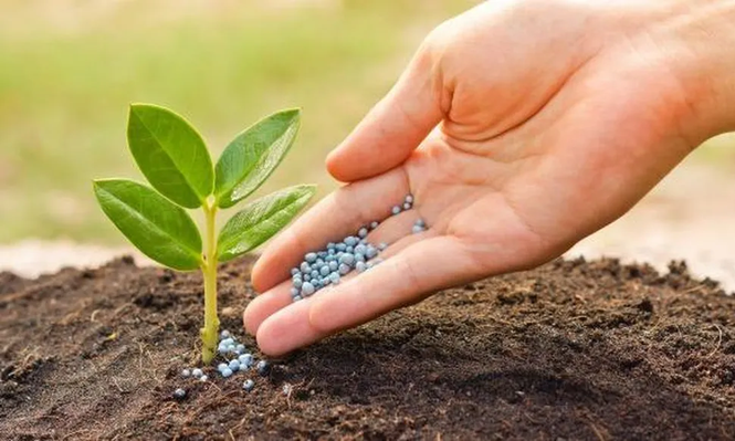 Fertilizantes