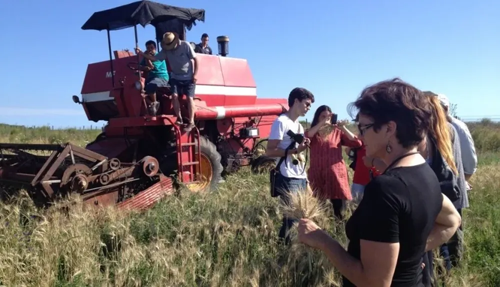La fiesta de la trilla se realizó en Rincón del Cerro
