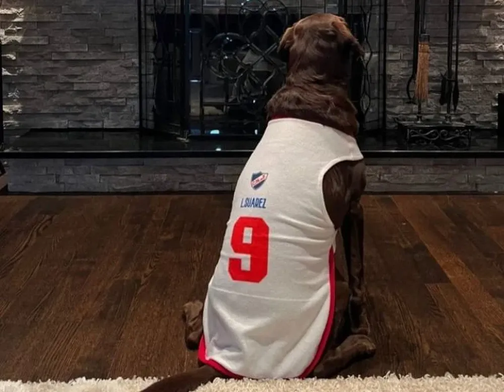 Todos alentando a Nacional