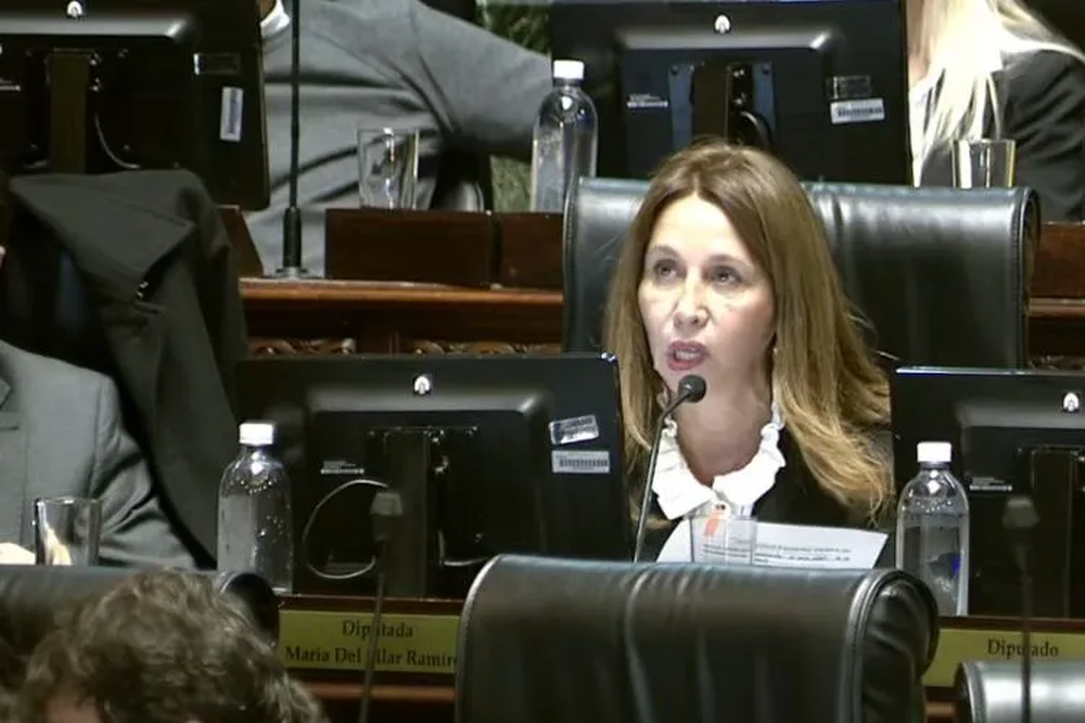 Pilar Ramírez, jefa de bloque de La Libertad Avanza, considera que esta modificación proporcionaría reglas claras