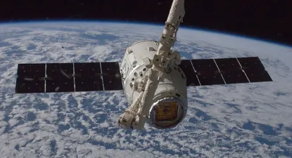 El Observador | 0000302536.webp