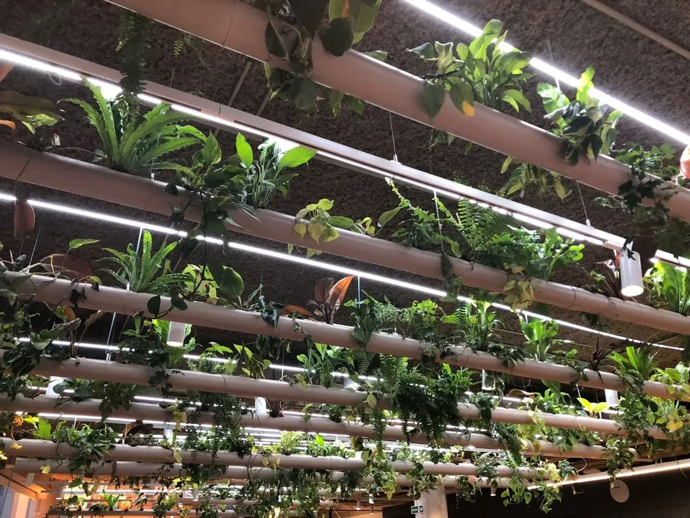 Techo de la planta baja de BASF Arena