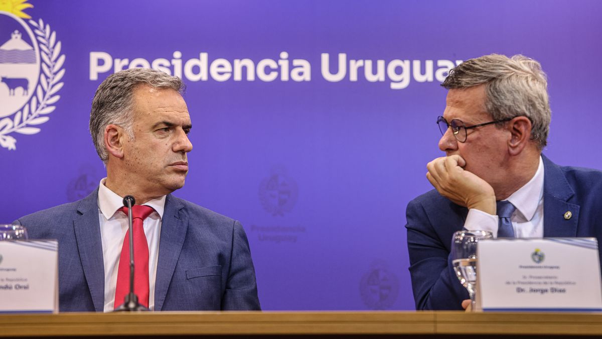 Imagen noticia completa
