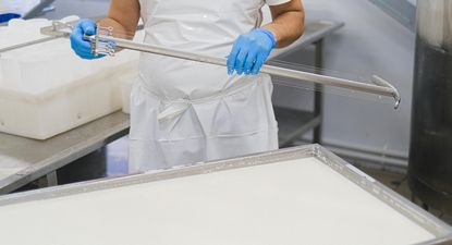 Lácteos: movimientos leves en las nuevas referencias de precios internacionales.