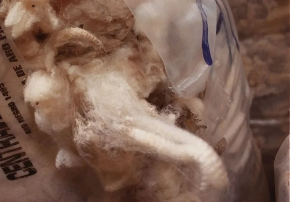 Aparece la lana a nivel local en tanto retroceden los precios en Australia