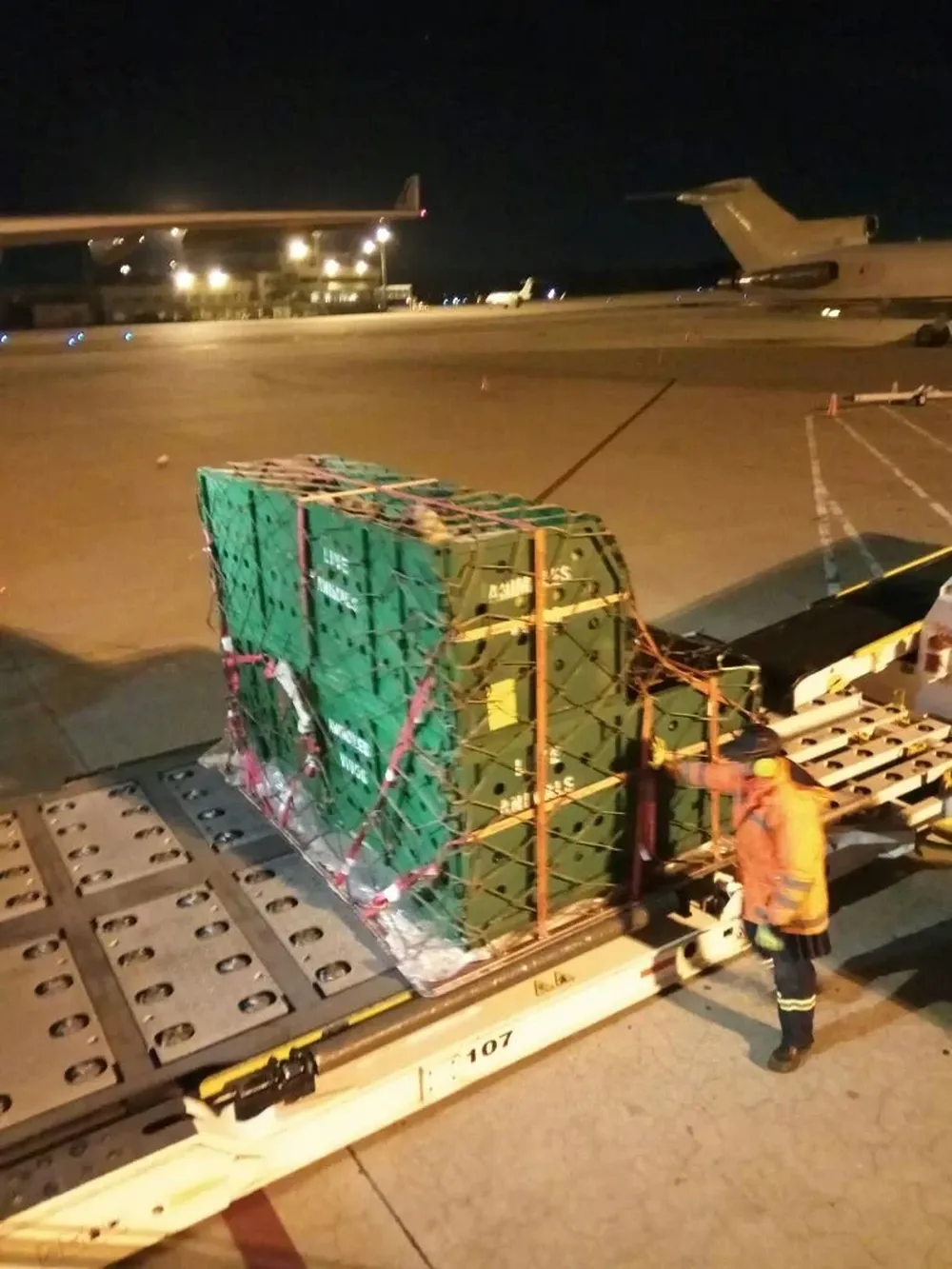 La exportación a Colombia genera buenas expectativas en cuanto a reiterar los envíos.