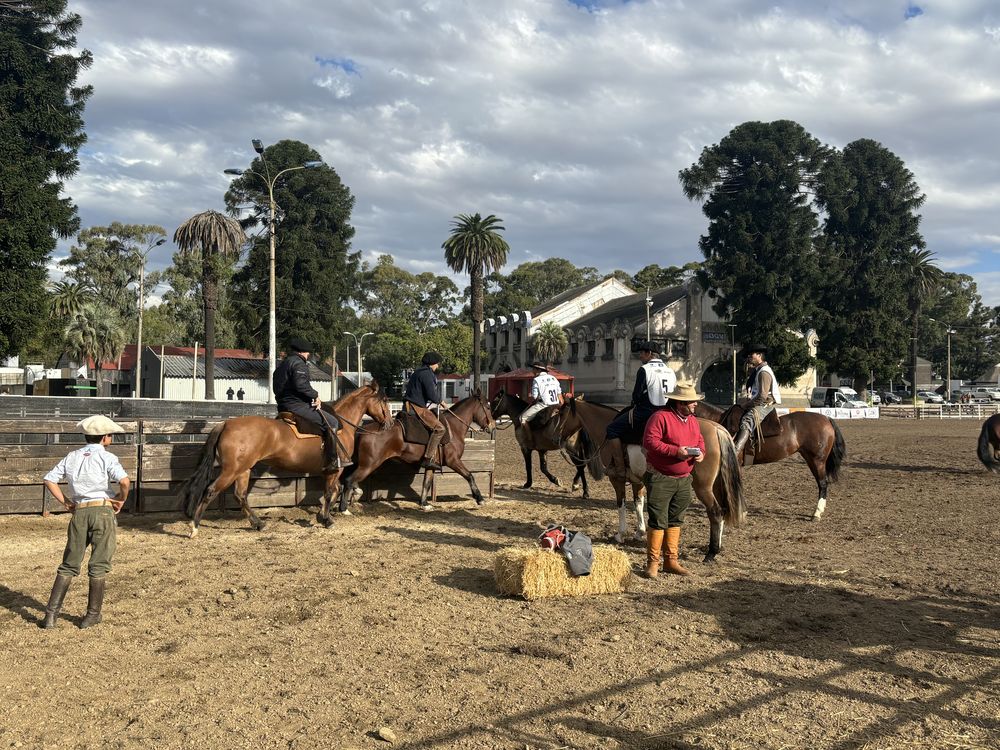 Caballos Criollos: Expo Oto&ntilde;o 2024 en la Rural del Prado.
