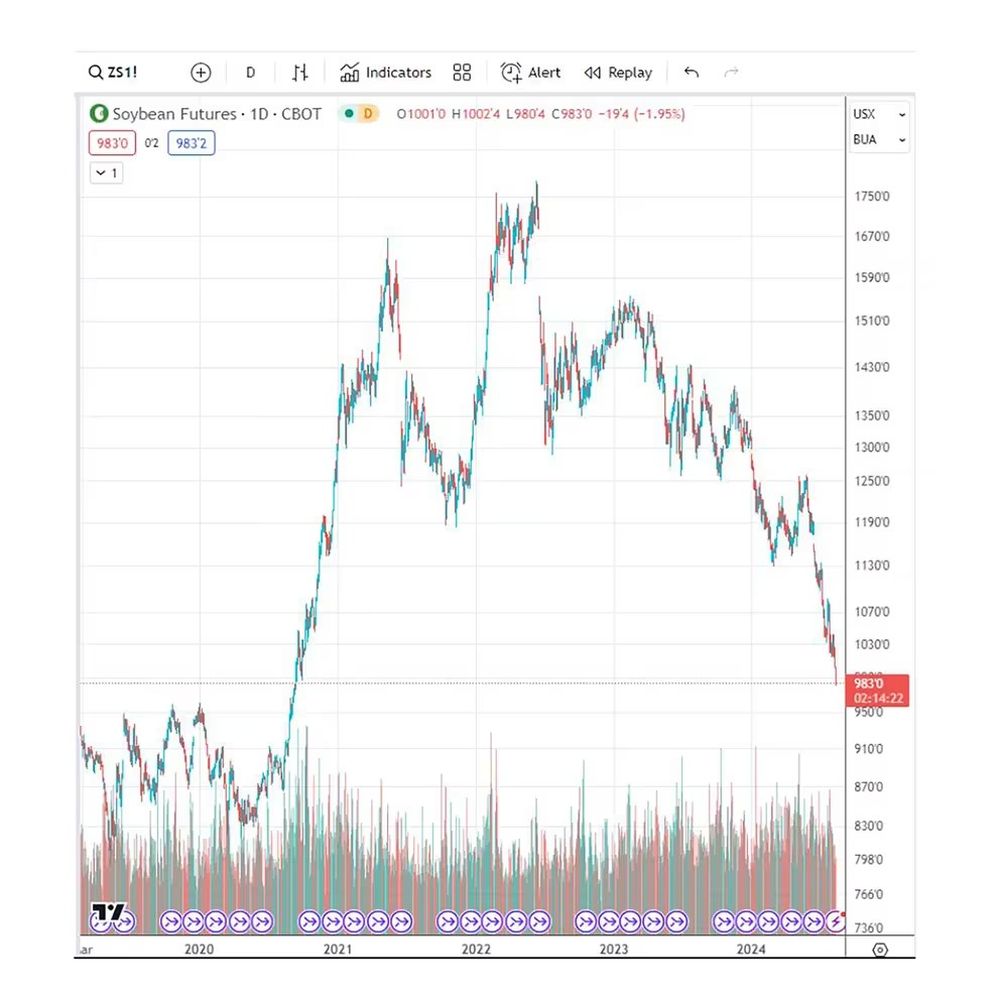 El gráfico que muestra la cotización de este lunes.