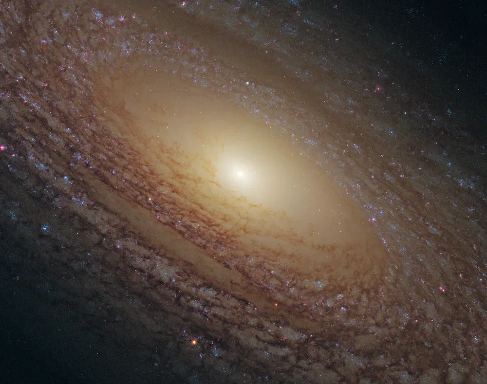 Disco de estrellas de la galaxia espiral NGC 2841, en la constelación septentrional de la Osa Mayor