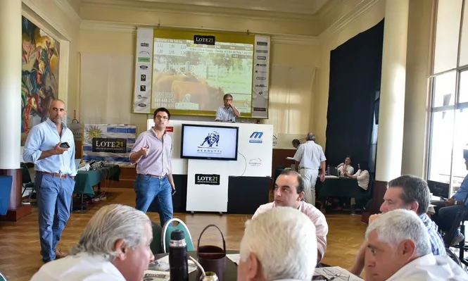 Lote 21 con alta colocación en mercado demandado y firme