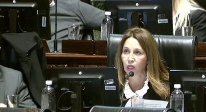 Pilar Ramírez, jefa de bloque de La Libertad Avanza, considera que esta modificación proporcionaría reglas claras