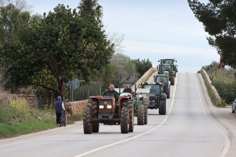 Tractores entran por una carretera al centro de Palma de Mallorca.