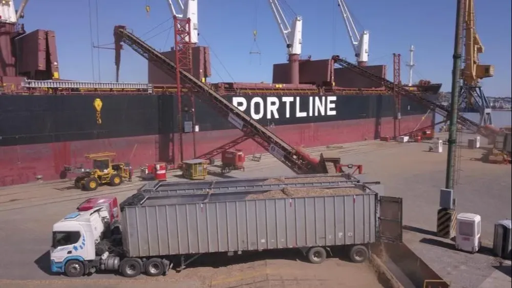 Inédita exportación de chips.