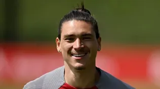 Darwin tendrá a un compañero de lujo