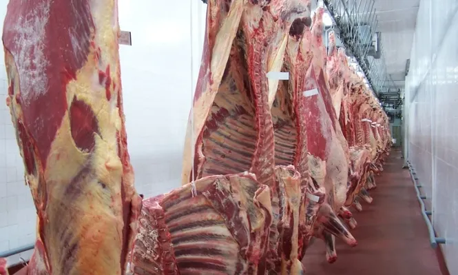 La carne bovina sigue siendo el producto más exportado