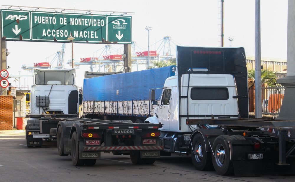 Camiones en el puerto de Montevideo. Foto: FocoUy