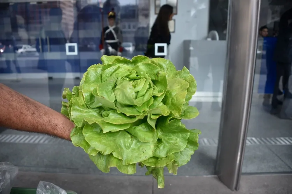 La calidad del producto es óptima.