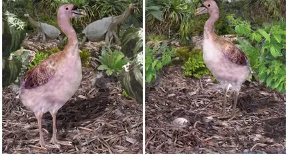 El Observador | 0002502164.webp