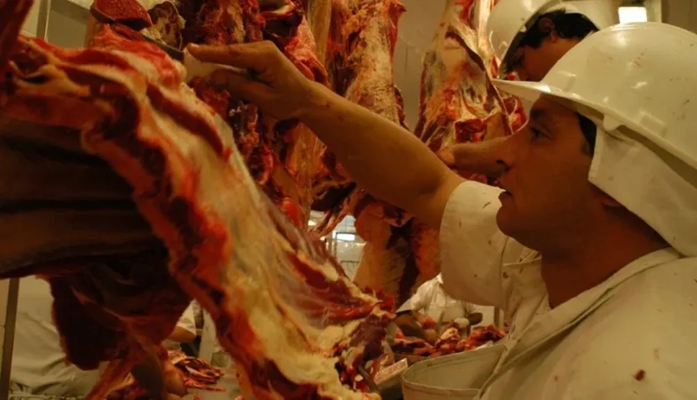 La faena ganadera opera con oferta escasa