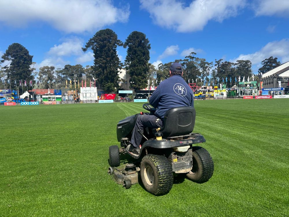 Rural del Prado: el ruedo, bien verde, a la espera de las primeras juras, programadas para este viernes 5.