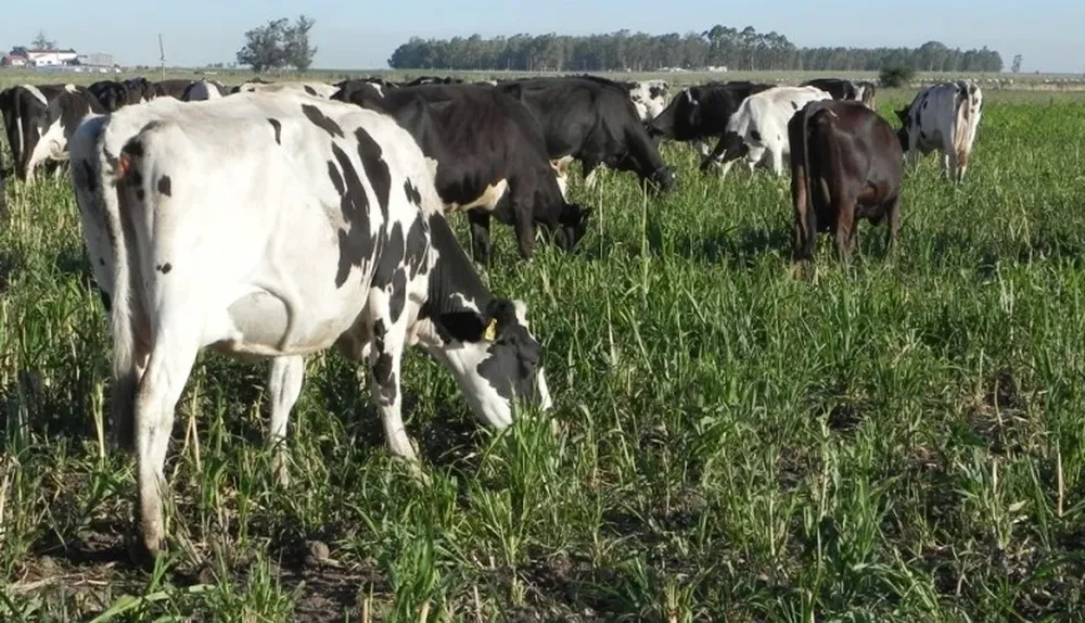 Capacitación abierta y gratuita para todos los interesados