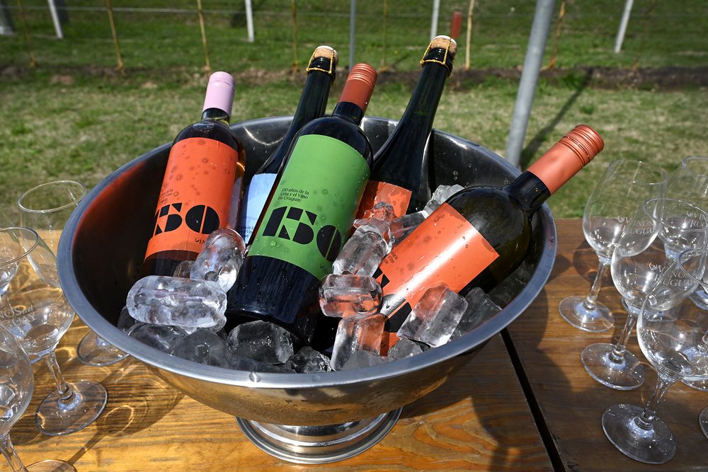 Día del Patrimonio: se viene un fin de semana con el vino como protagonista.