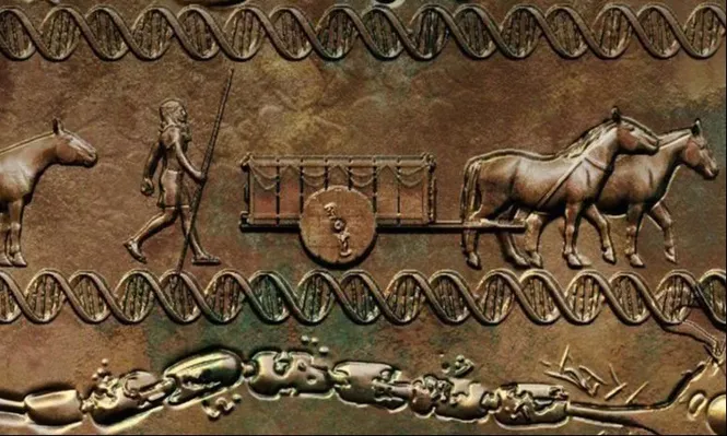 Un gen relacionado a la tribu de los Yamna pareciera ser la respuesta a algunas enfermedades del sistema inmune.