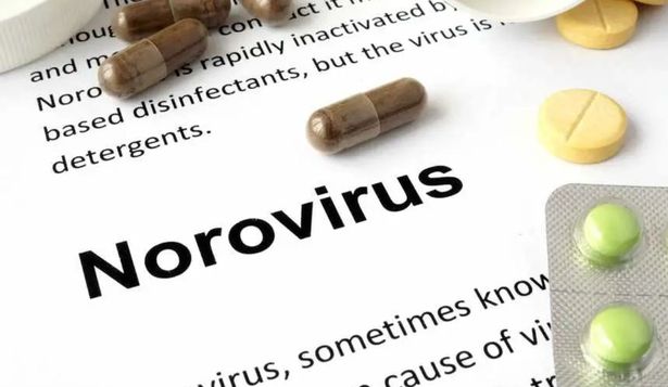 Norovirus: alerta por suba de casos en Florida, ¿cuáles son los síntomas y las recomendaciones a adoptar?