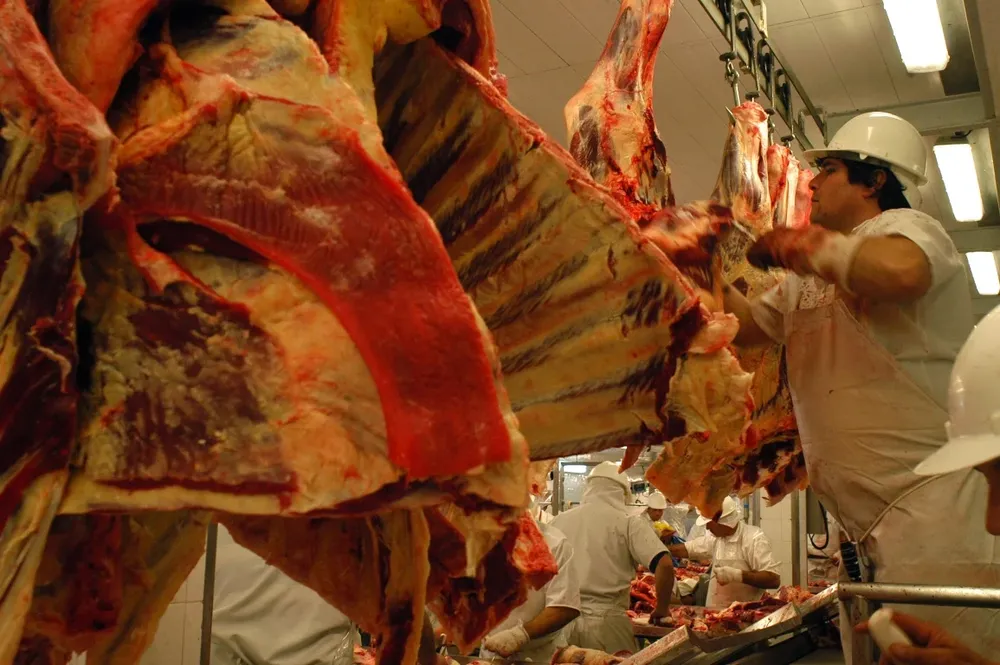 En lo que va del año se faenaron 571.855 bovinos, 6% menos que en igual período de 2011